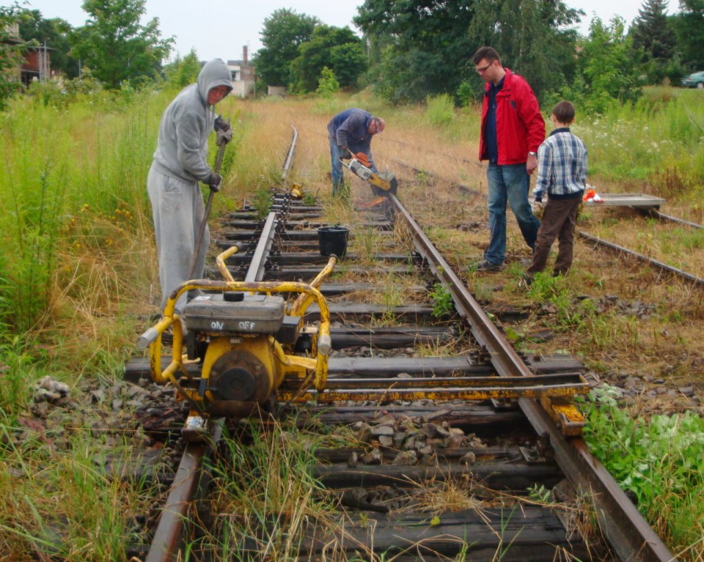 Arbeitseinsatz am 21.07.2012 in Roleben, um einen Teil der Gleisanlagen fr mgliche zuknftige Gterverladungen wieder befahrbar zu machen. (Foto: Gnther Gbel)