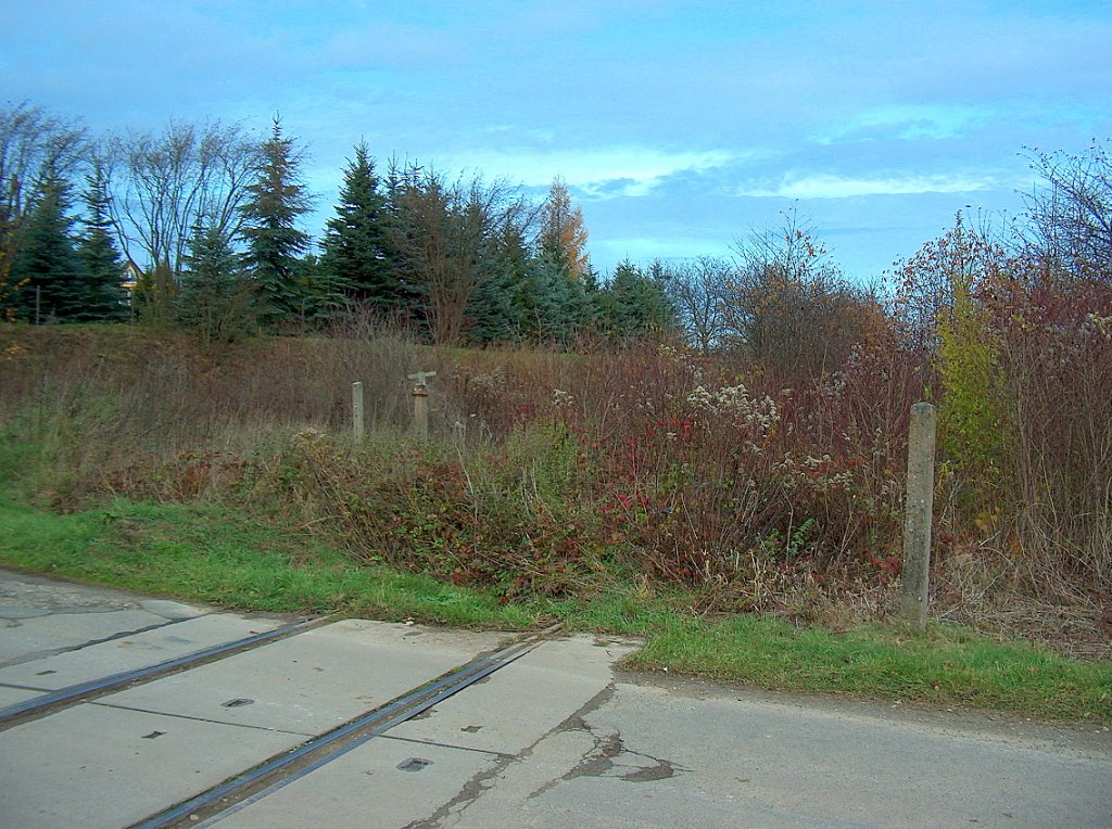 Bahnbergang am Bf Golzen. Das Gleis ist vllig zugewachsen; 15.11.2009