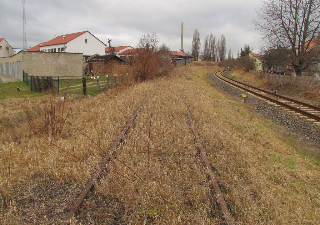 Das ehemalige Gleis der Finnebahn nach Lossa, in Laucha. Rechts das Gleis der Unstrutbahn; 12.03.2012 