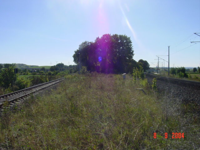 Das ehemalige Gleisdreieck in Reinsdorf (b Artern). Rechts das Hauptgleis nach Erfurt, links das Unstrutbahngleis Richtung Gehofen; 09.09.2004 (Foto: Carsten Klinger)