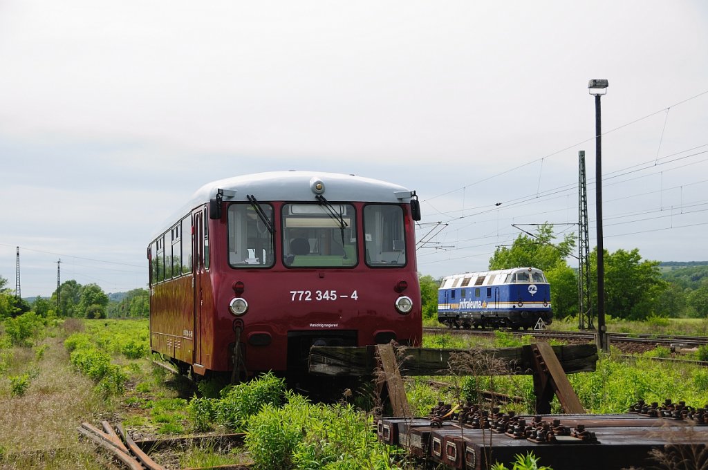 Das Ferkeltaxi der Erfurter Bahnservice stand am 18.05.2012 im Bereich des ehemaligen Gterbahnhofs abgestellt in blhenden Landschaften. (Foto: Torsten Barth)