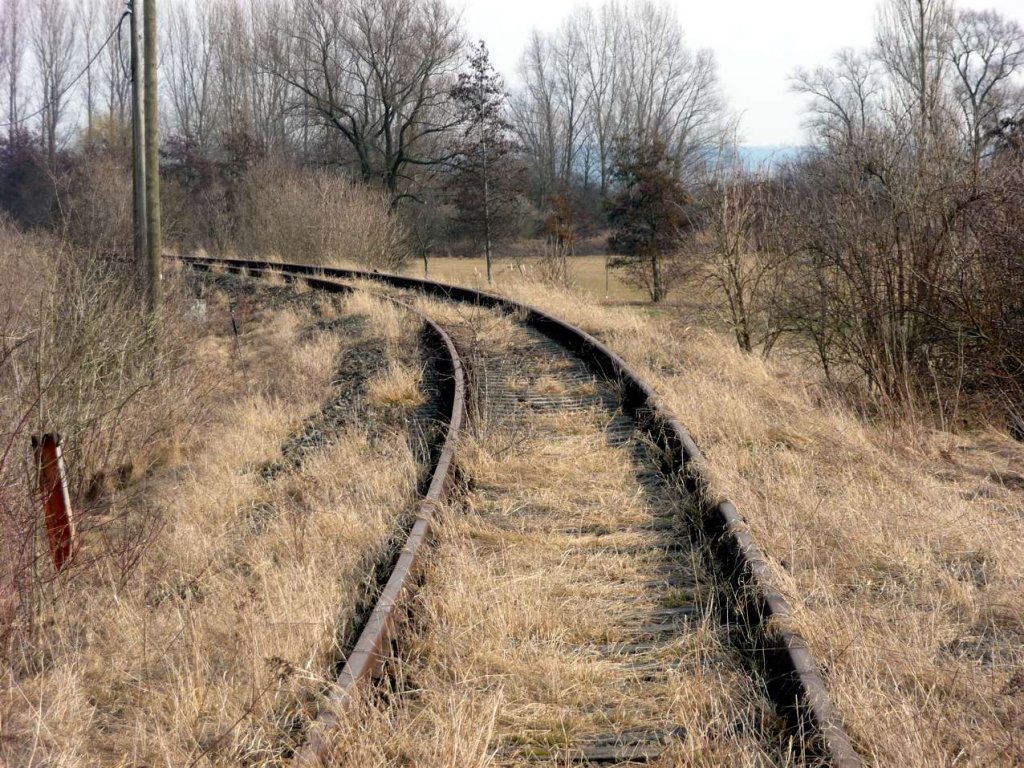 Das Unstrutbahngleis vor dem B in Donndorf; 12.03.2011 (Foto: Klaus Pollmcher)