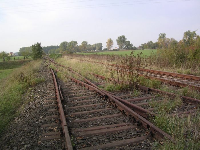 Ehemalige Verbindungskurve Richtung Erfurt am Stellwerk W3 in Reinsdorf bei Artern; 2006 (Thomas Menzel)