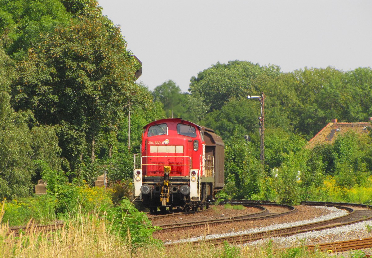 DB 294 663-0 mit einer Wagenbergabe, am 22.08.2013 in Zeitz.