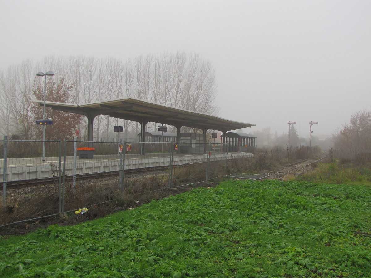 Der ehemalige Bereich vom Gleis 5 und der Bahnsteig am 17.11.2013 in Laucha.