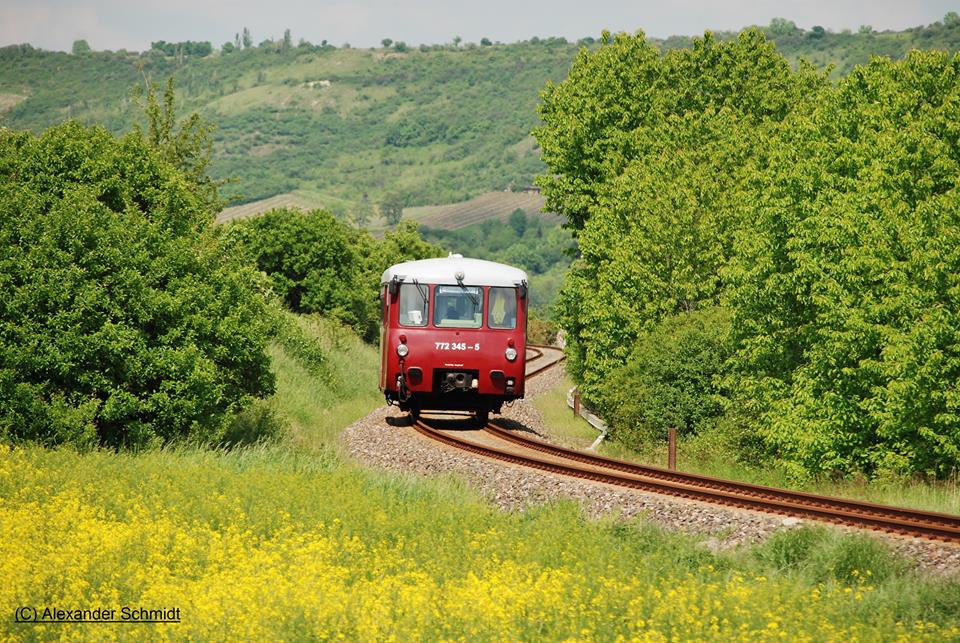 EBS 772 345 als Sonderzug von Karsdorf nach Freyburg, am 21.05.2017 bei Laucha. (Foto: Alexander Schmidt)