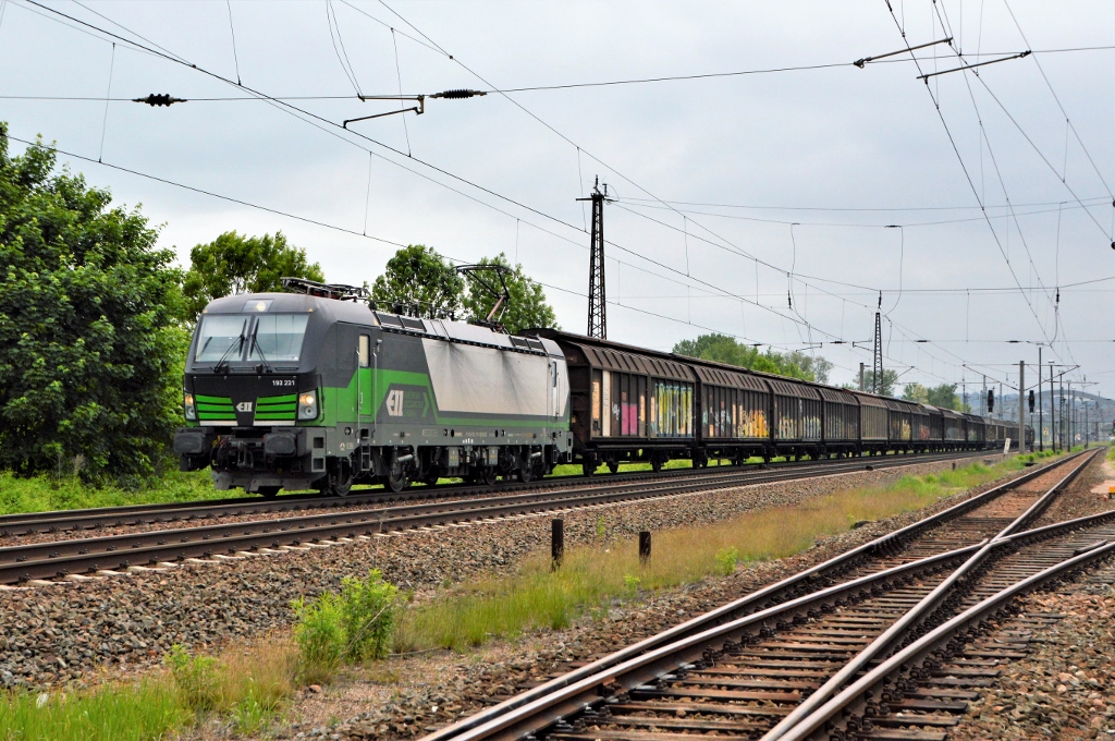 Gterverkehr international in Naumburg. ELL 193 231 mit einem Gterzug von Rostock- Seehafen nach Italien verlsst durchfhrt am 17.05.2018 Naumburg.