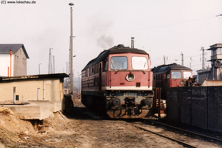 DB 231 016-7 im Bw Naumburg; 12.03.1993 (Foto: Frank Weimer)