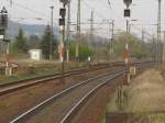 Am Freitag, den 13.04.2011 hatte dieser Gleislatscher mit Hund mehr Glck als Verstand, als er alle Gleise in Naumburg Hbf berquerte um in Richtung Bltengrund zu laufen.
