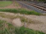 Neben einem Feldwegbahnbergang in Balgstdt sind noch Reste eines ehemaligen Anschlussgleises zu sehen; 13.04.2012