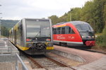 Zum Winzerfest in Freyburg verkehren auf der Unstrutbahn zwischen Naumburg Ost und Nebra Triebzüge der BR 642.