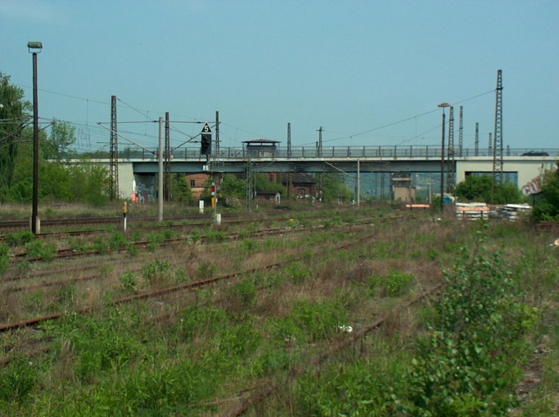 Zugewachsene Rangiergleise am westlichen Gleisvorfeld in Naumburg (Saale) Hbf. Im Hintergrund erkennt man das berfhrungsbauwerk der B180; 01.05.2009