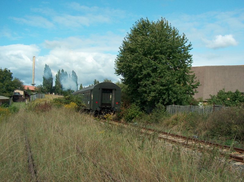 Zugewachsenes Gleis der Finnebahn kurz hinter dem B in Laucha (Unstrut); 14.09.2008