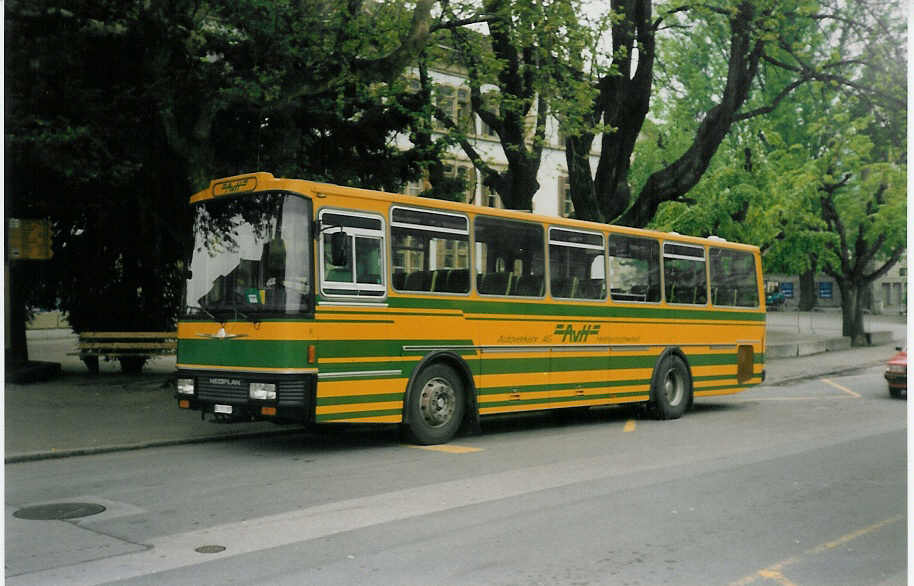 (013'937) - AvH Heimenschwand - Nr. 6/151'197 - Neoplan/Lauber am 15. Mai 1996 in Thun, Aarefeld