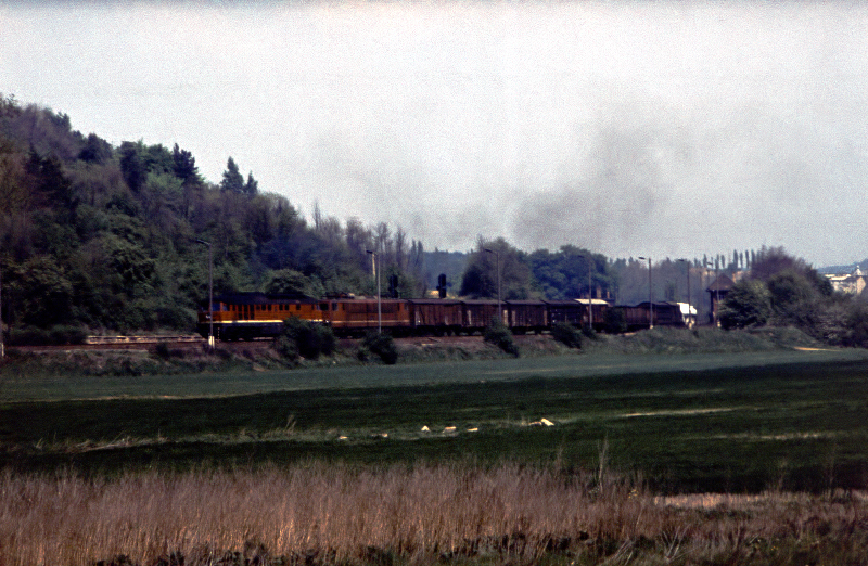 Am 02.06.1981 fotografierte unser Unstrutbahnfreund, Peter Polzin, diesen Güterzug in Richtung Artern auf der Unstrutbahn kurz hinter dem Bahnhof Nebra.
Die DR 250er hinter der DR V300 läuft entweder als Wagenlok mit oder der Güterzug war damals als Umleiter unterwegs.