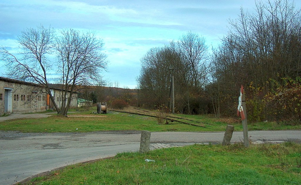 Bahnbergang und ehemaliges Anschlussgleis der Buerlichen Handelsgesellschaft (BHG) vor dem Bf Bad Bibra; 15.11.2009