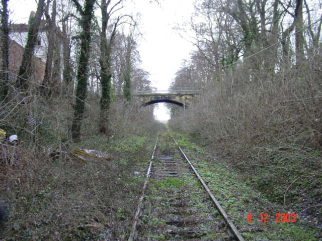 Das alte Gleisbett beim ehemaligen Hp Leimbacher Gasthof; 06.12.2003 (Foto: Carsten Klinger)