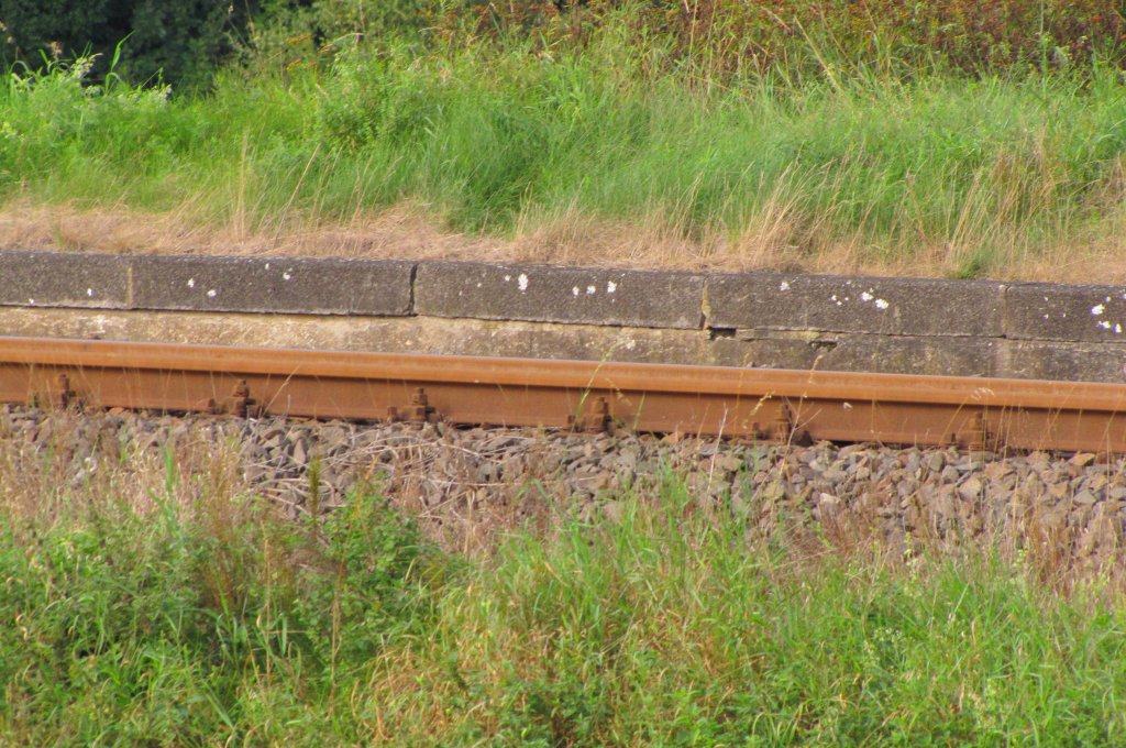 Das Unstrutbahngleis und ein Teil vom Bahnsteig in Kleinjena; 10.09.2011 (Foto: SW)