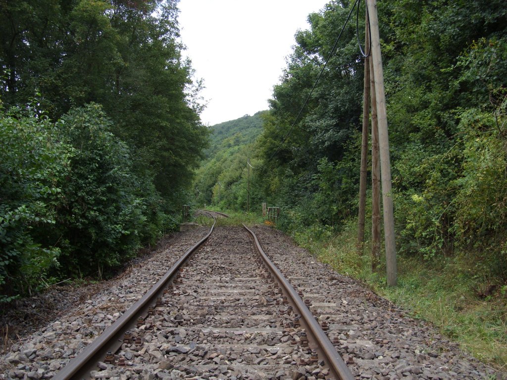 Das Unstrutbahngleis wurde zwischen Wangen und Roßleben mit neuen Schwellen versehen. Bevor das Gleis aber nicht gestopft wird, kann hier kein Schienenfahzeug fahen; 13.08.2011