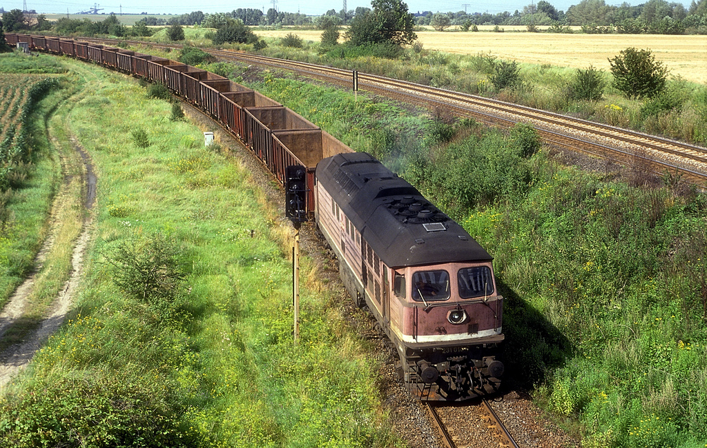 DB 231 016-7 mit einem Güterzug aus Richtung Teuchern kommend, am 11.08.1993 in Zeitz. (Foto: Werner Brutzer)