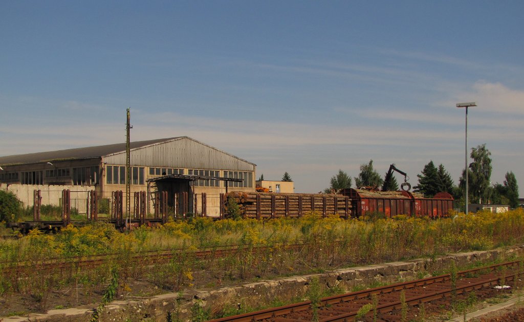 Im Bf Querfurt wird noch Holz aus dem Ziegelrodaer Forst auf Güterwagen verladen und durch die MEG abgefahren; 07.09.2010