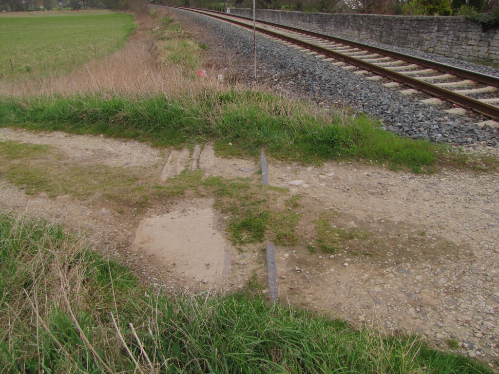 Neben einem Feldwegbahnübergang in Balgstädt sind noch Reste eines ehemaligen Anschlussgleises zu sehen; 13.04.2012
