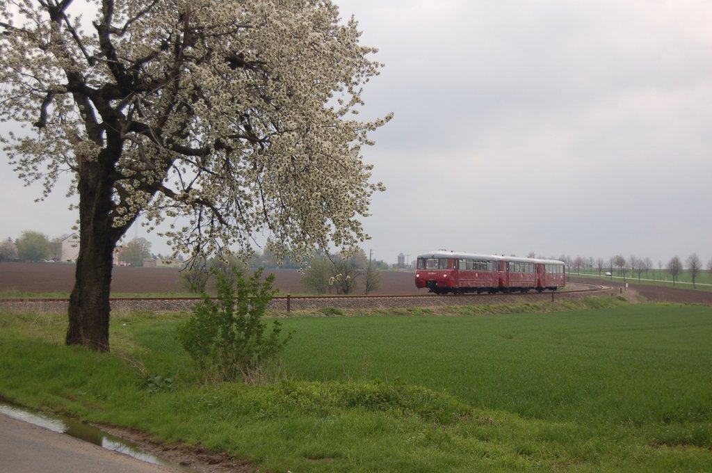 Sonderfahrt am 1. Mai zum Freyburger Weinfrhling. Die Ferkeltaxen 172 132-3 + 172 171-1 + 172 760-1 von Kstner Schienenbusreisen als DPE 25045 von Chemnitz Hbf nach Karsdorf, am 01.05.2013 bei Sten. (Foto: dampflok015)