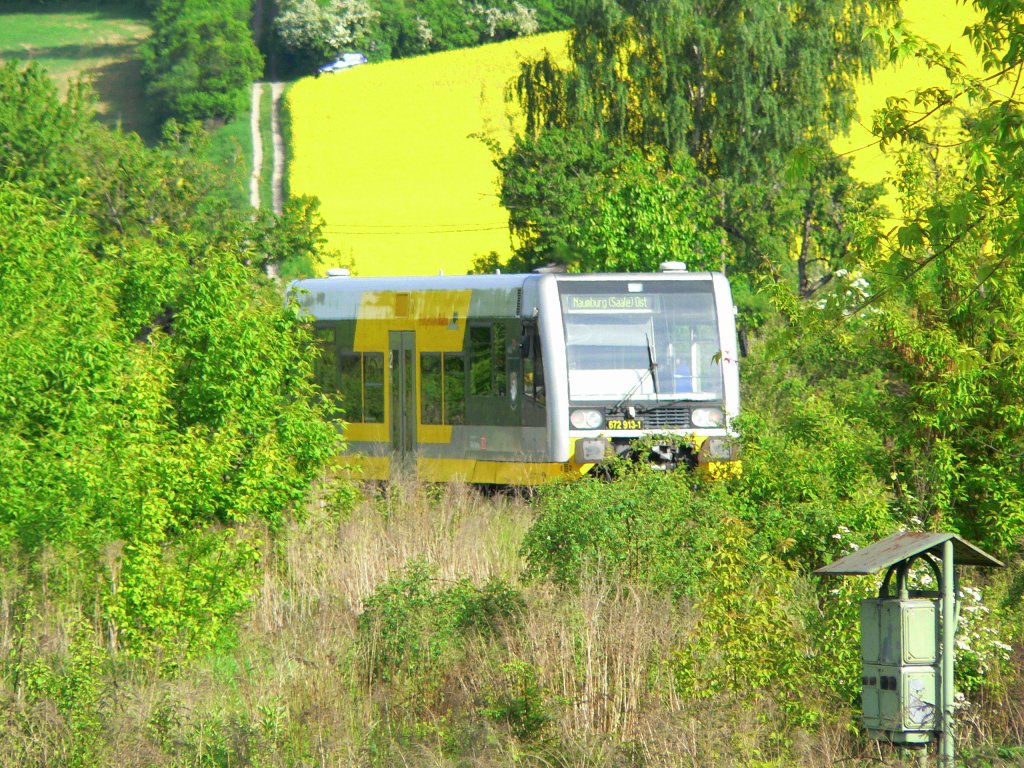 Wo ist der Triebwagen ? Burgenlandbahn 672 913-1 auf der Fahrt nach Naumburg (S) Ost im  Dschungel des Bf Laucha ; 12.05.2009 (Foto: Dieter Thomas)