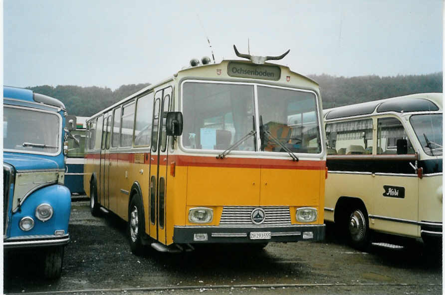 (095'002) - Gadliger, Horgen - ZH 293'555 - Saurer/Tscher (ex Lienert&Ehrler, Einsiedeln; ex Lienert, Einsiedeln) am 2. Juni 2007 in Thayngen, Saurertreffen