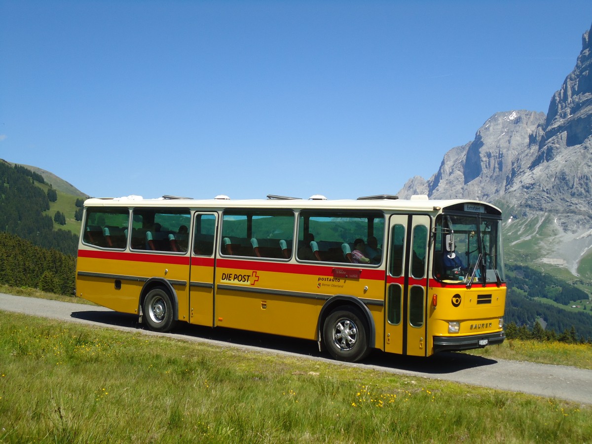 (134'731) - AVG Meiringen - Nr. 74/BE 607'481 - Saurer/R&J (ex P 24'357) am 3. Juli 2011 auf der Strasse Waldspitz-Grindelwald