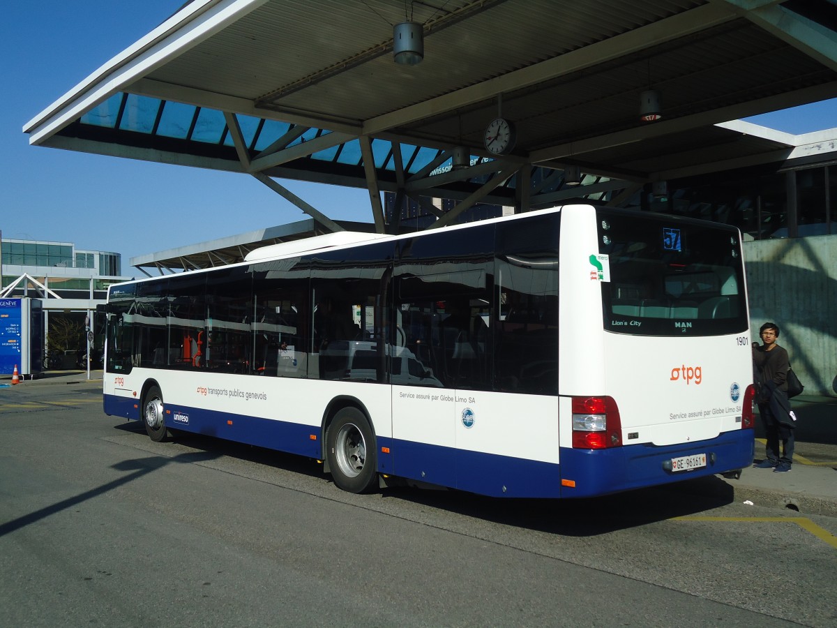 (138'234) - Globe-Limo, Genve - Nr. 1901/GE 96'161 - MAN am 9. Mrz 2012 in Genve, Aroport