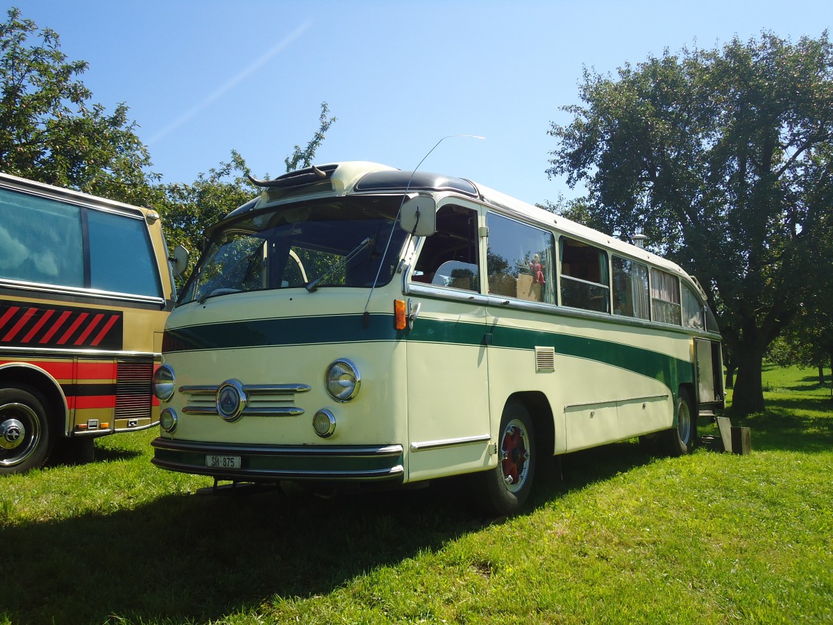 (141'184) - Wehrli, Thayngen - SH 875 - Saurer/Saurer (ex Rieser+Vetter, Frauenfeld) am 18. August 2012 in Affeltrangen, Kreuzegg