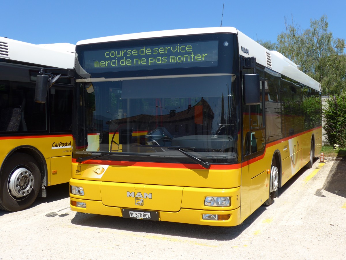 (151'739) - CarPostal Ouest - VD 570'802 - MAN (ex SAPJV, L'Isle Nr. 45) am 21. Juni 2014 in Yverdon, Garage