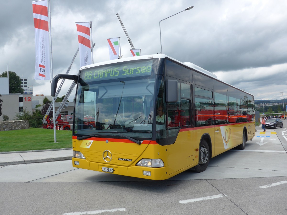 (154'565) - Hfliger, Sursee - Nr. 6/LU 196'102 - Mercedes am 30. August 2014 in Oberkirch, CAMPUS Sursee