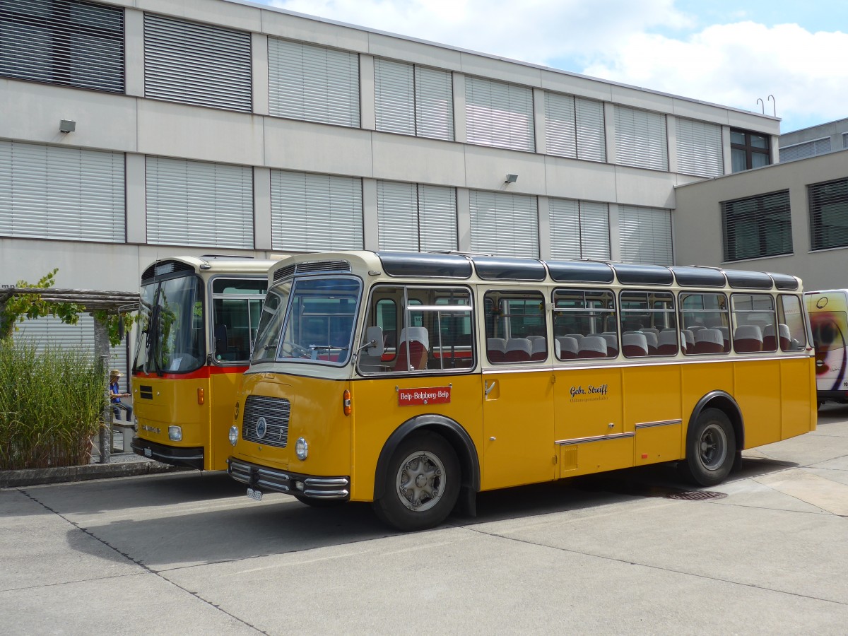 (154'577) - Streiff, Gelterkinden - AG 306'557 - Saurer/Gangloff (ex Oldie-Tours Zrisee, Wollerau; ex OTAG, Wald; ex Leibundgut, Obergoldbach; ex Krebs, Belpberg) am 30. August 2014 in Oberkirch, CAMPUS Sursee