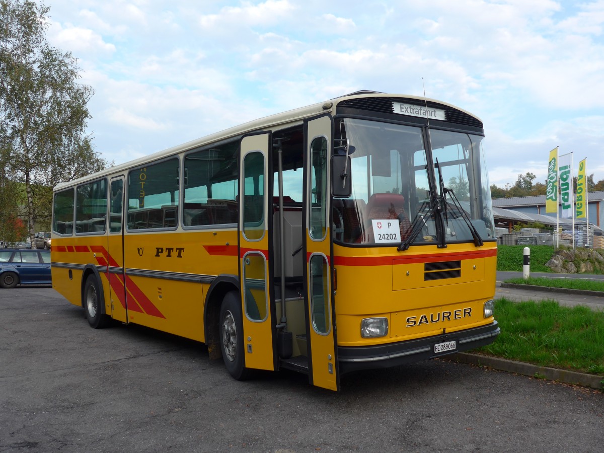 (155'678) - Thommen, Sutz - BE 288'066 - Saurer/Hess (ex P 24'202) am 12. Oktober 2014 in Kssnacht, Rest. Frohsinn