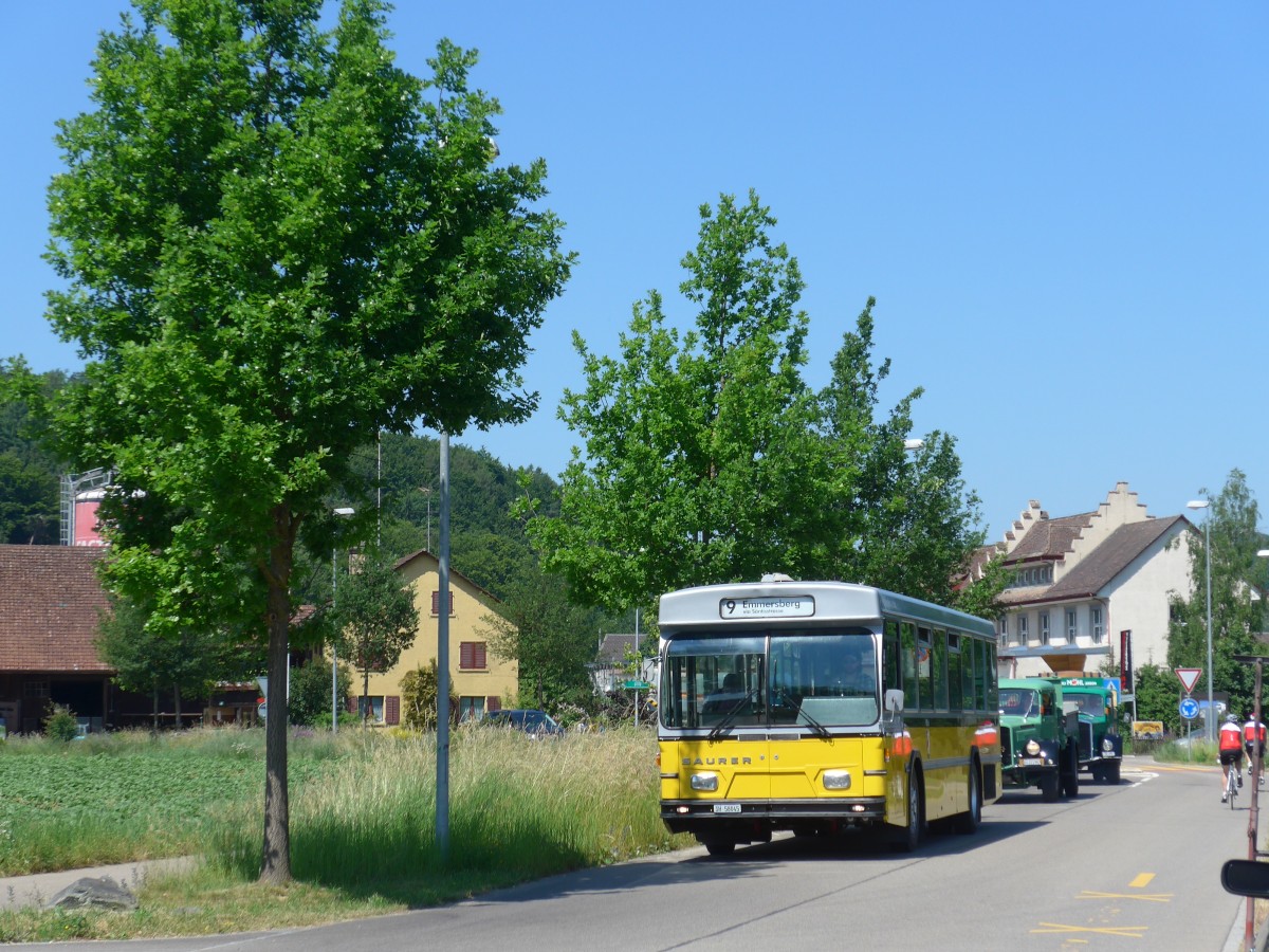 (161'882) - Wanner, Schleitheim - SH 58'045 - Saurer/Hess (ex Ruklic, Schaffhausen; ex VBSH Schaffhausen Nr. 40; ex VBSH Schaffhausen Nr. 19) am 6. Juni 2015 in Thayngen, Saurertreffen