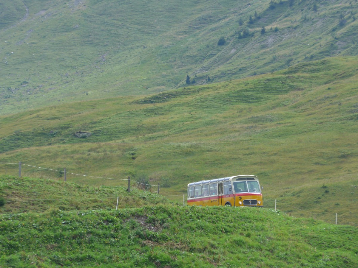 (163'767) - Rentsch, Gunten - BE 823'203 - FBW/Gangloff (ex P 23'203; ex P 21'003) am 23. August 2015 in Habkern, Lombachalp