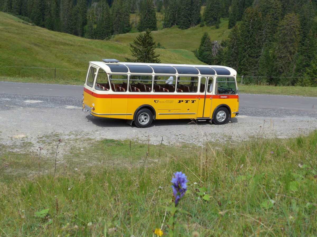 (163'822) - Rentsch, Gunten - BE 823'203 - FBW/Gangloff (ex P 23'203; ex P 21'003) am 23. August 2015 in Habkern, Lombachalp