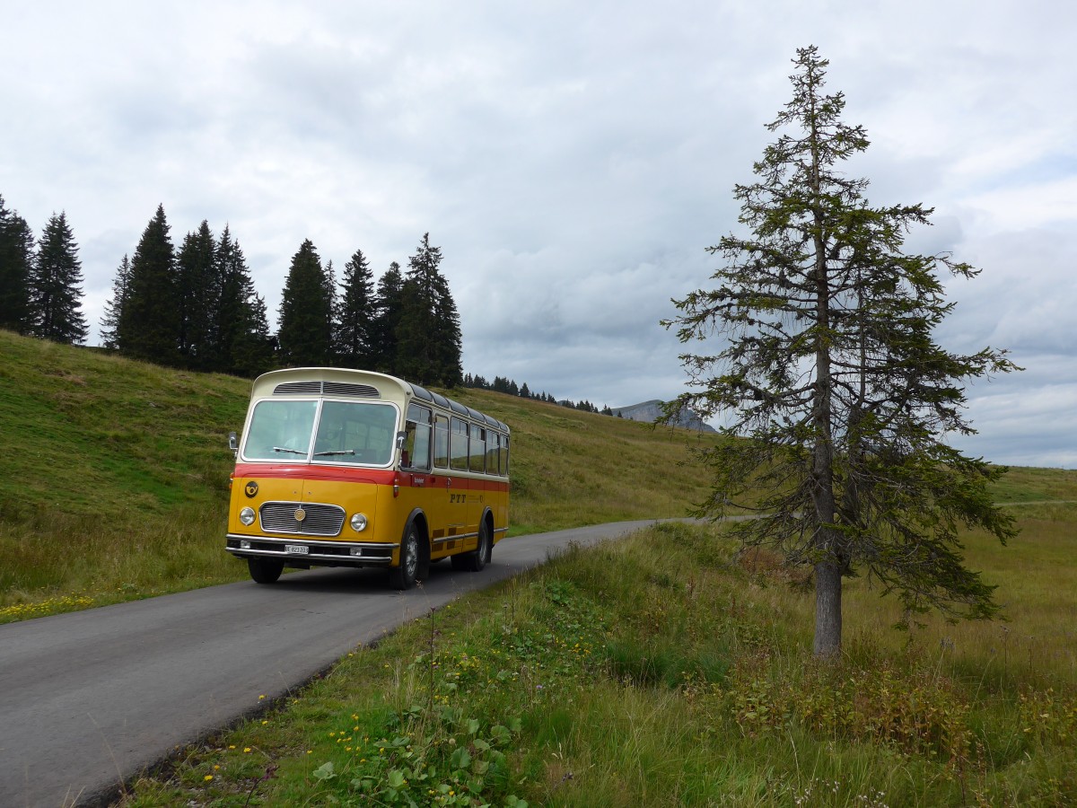 (163'843) - Rentsch, Gunten - BE 823'203 - FBW/Gangloff (ex P 23'203; ex P 21'003) am 23. August 2015 in Habkern, Lombachalp