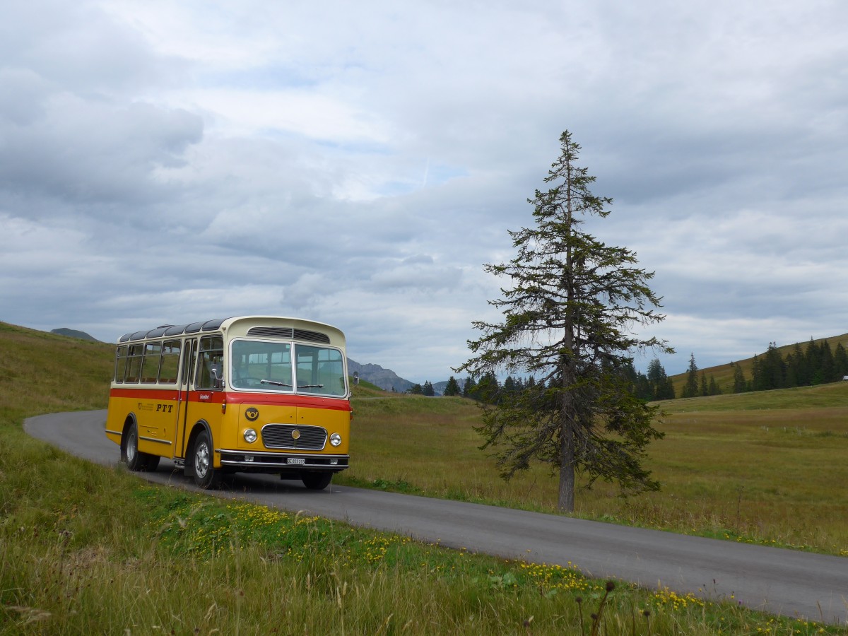 (163'845) - Rentsch, Gunten - BE 823'203 - FBW/Gangloff (ex P 23'203; ex P 21'003) am 23. August 2015 in Habkern, Lombachalp