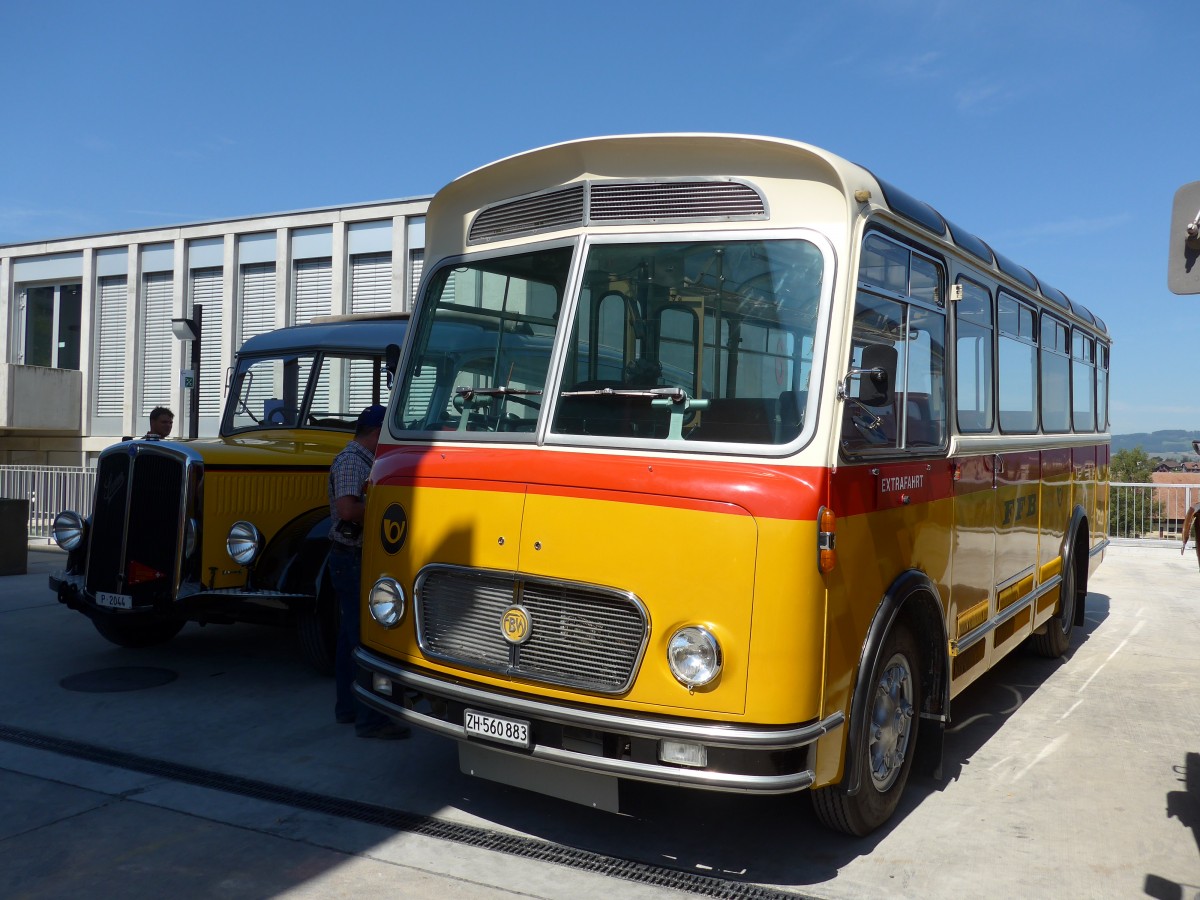 (164'171) - Frutig, Birmensdorf - ZH 560'883 - FBW/FHS (ex P 23'217) am 29. August 2015 in Oberkirch, CAMPUS Sursee