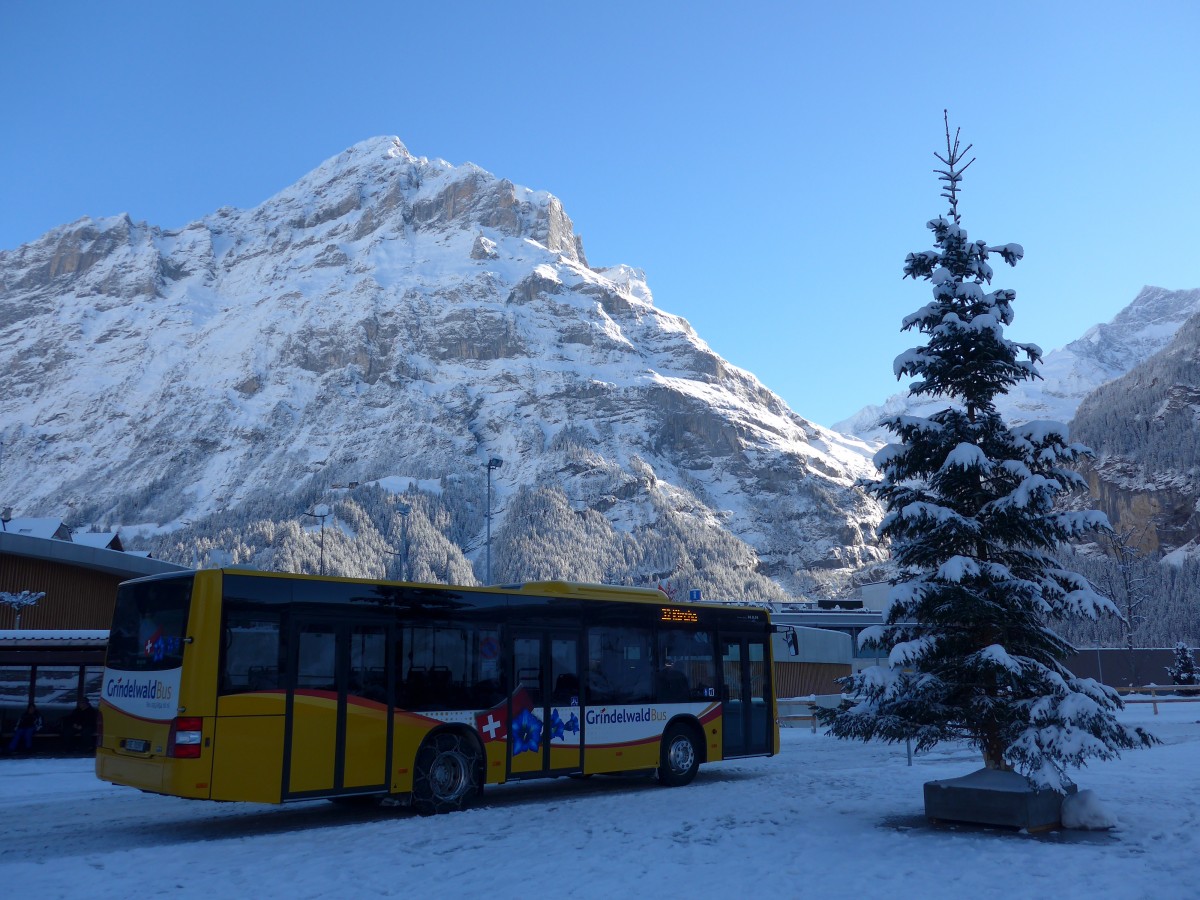 (167'468) - AVG Grindelwald - Nr. 23/BE 70'397 - MAN am 23. November 2015 beim Bahnhof Grindelwald