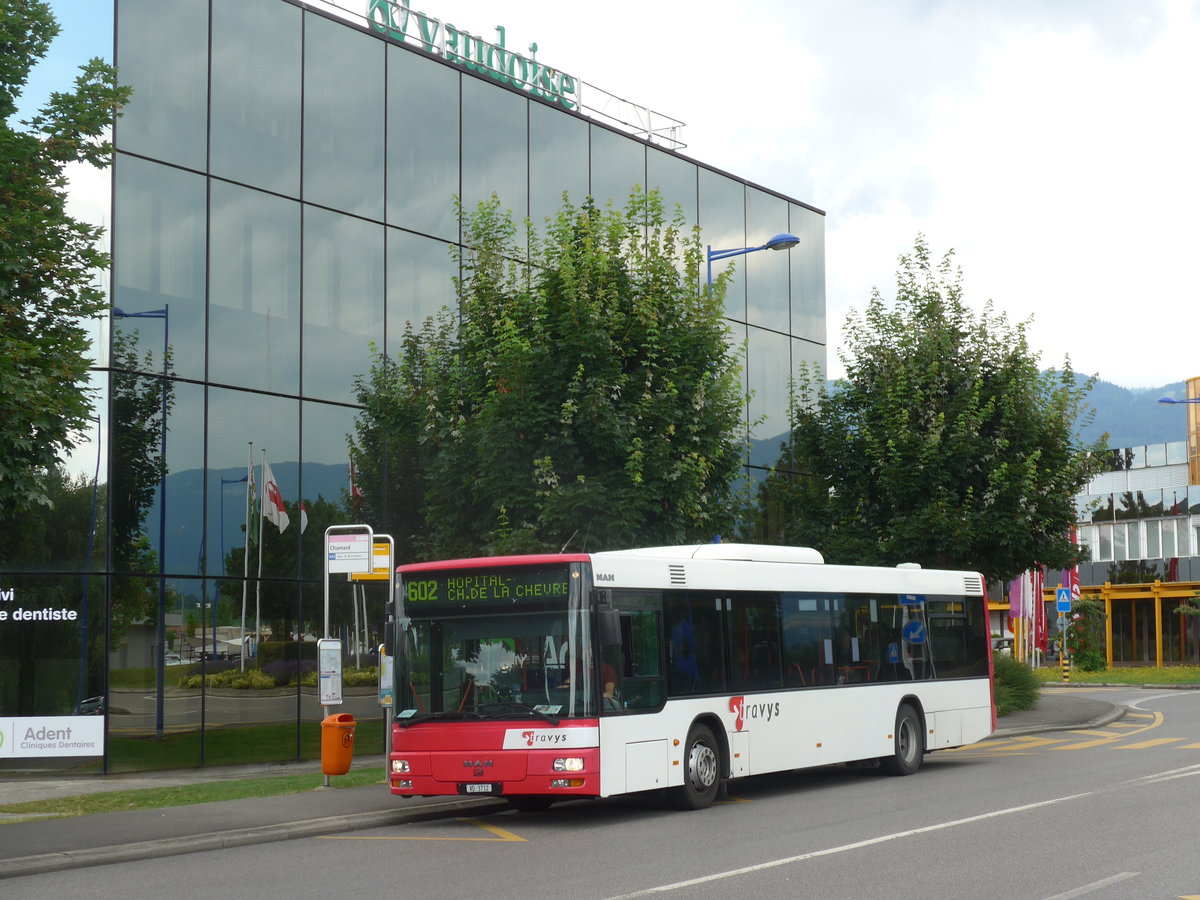 (173'030) - TRAVYS Yverdon - VD 3712 - MAN am 15. Juli 2016 in Montagny, Chamard