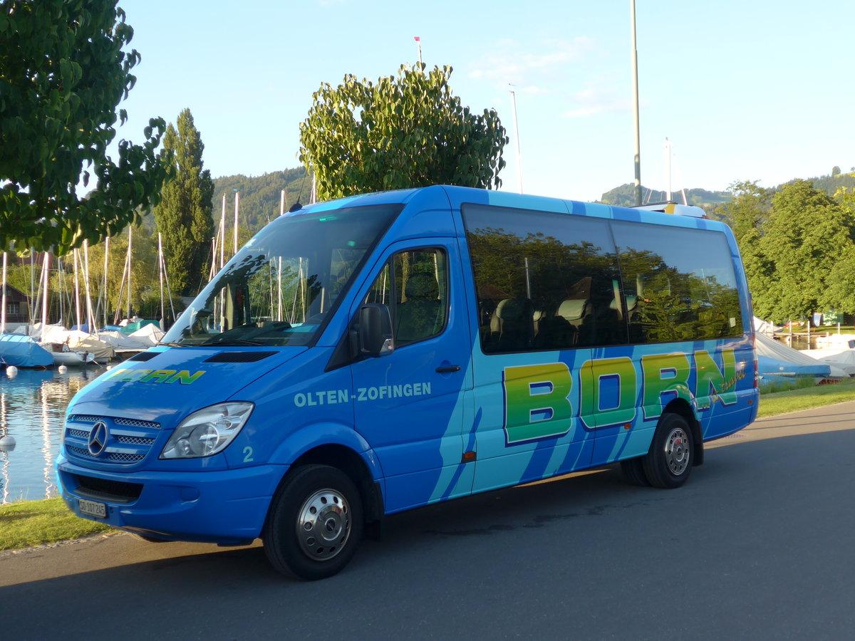 (173'893) - Born, Olten - Nr. 2/SO 107'245 - Mercedes am 13. August 2016 in Thun, Strandbad