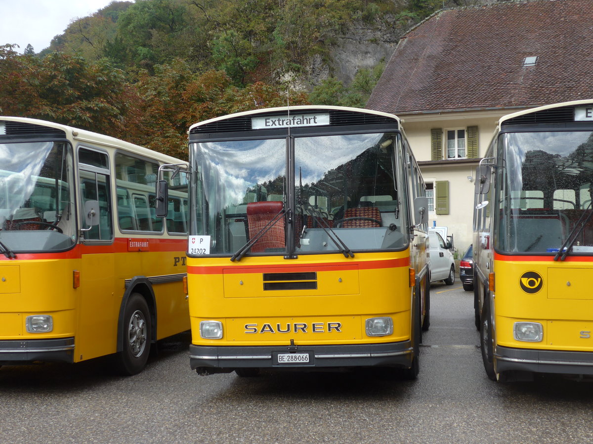 (175'325) - Thommen, Sutz - BE 288'066 - Saurer/Hess (ex P 24'202) am 2. Oktober 2016 in Oensingen, Bad Klus