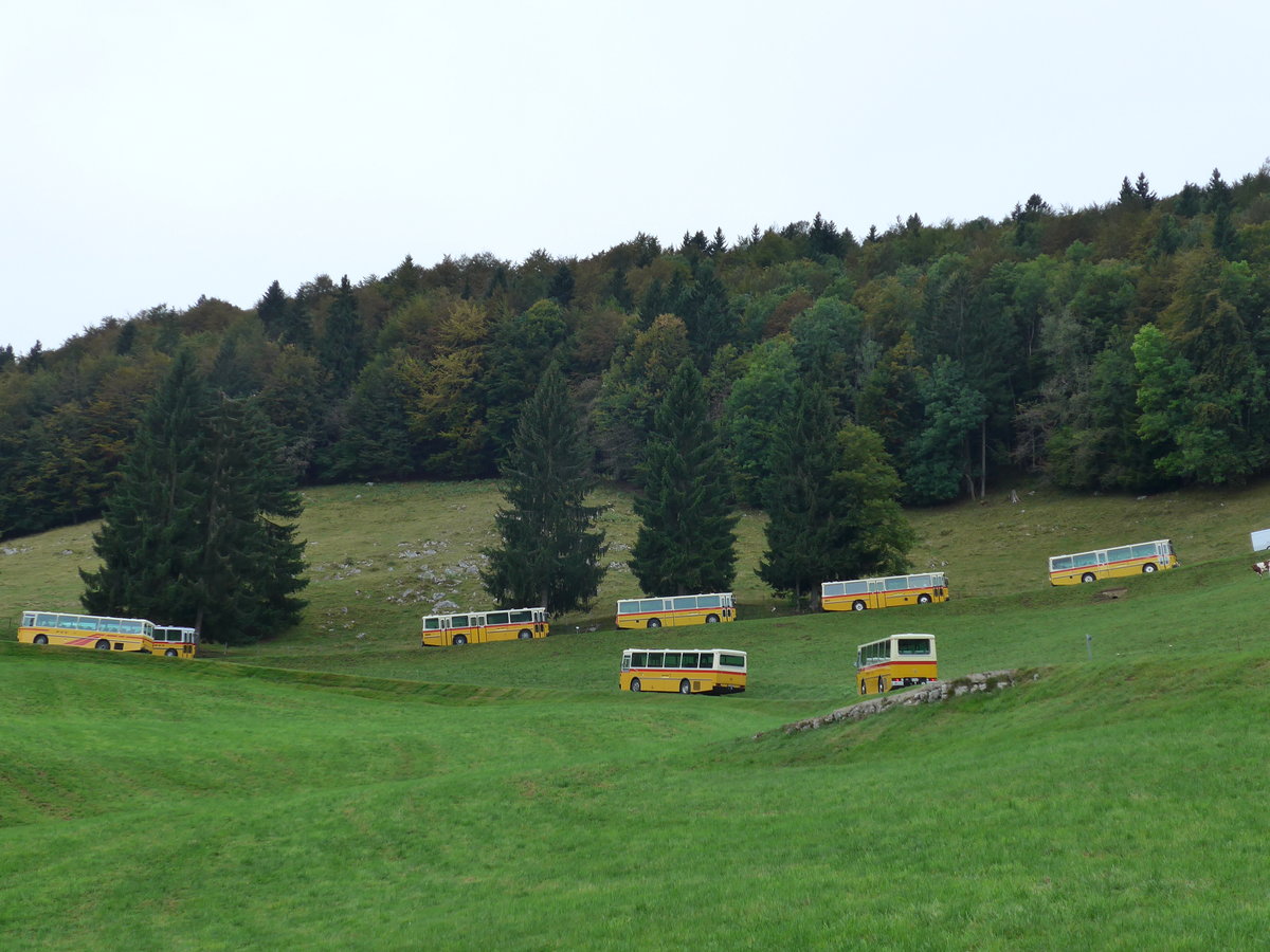 (175'343) - Aebi, Koppigen - Nr. 11/BE 144'361 - Saurer/Lauber (ex Leuenberger, Kirchberg; ex Niederer, Filzbach Nr. 11) am 2. Oktober 2016 am Schletenpass (Solothurnerseite) und 7 weiter RH's