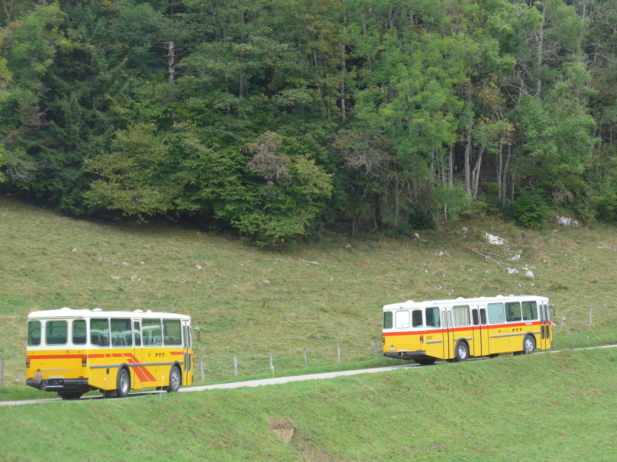 (175'347) - Thommen, Sutz - BE 288'066 - Saurer/Hess (ex P 24'202) + Gloor, Staufen - AG 6013 - Saurer/Hess (ex ALMAT, Tagelswangen; ex P 26'516) am 2. Oktober 2016 am Scheltenpass (Solothurnerseite)