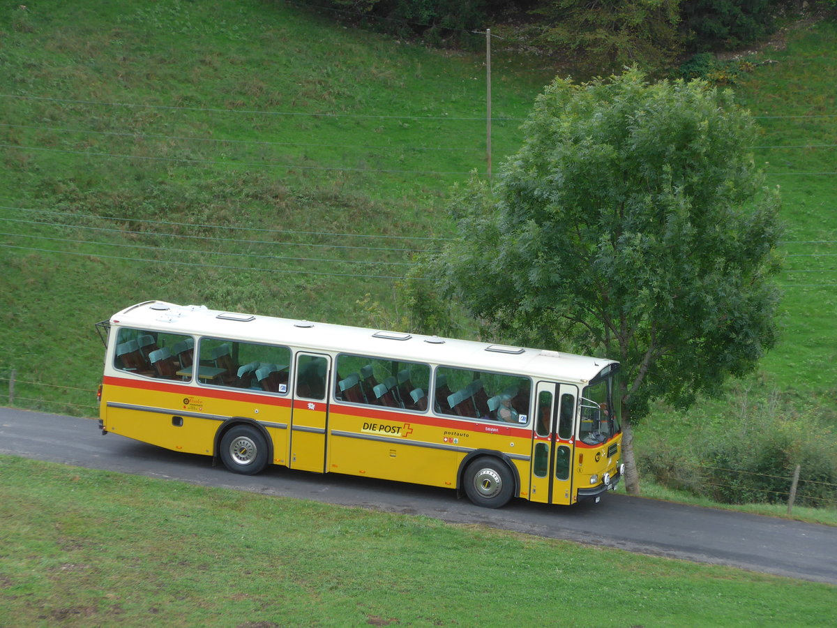 (175'350) - Fssler, Unteriberg - Nr. 6/SZ 5232 - Saurer/R&J (ex Schrch, Gutenburg Nr. 6; ex P 24'358) am 2. Oktober 2016 am Scheltenpass (Bernerseite)