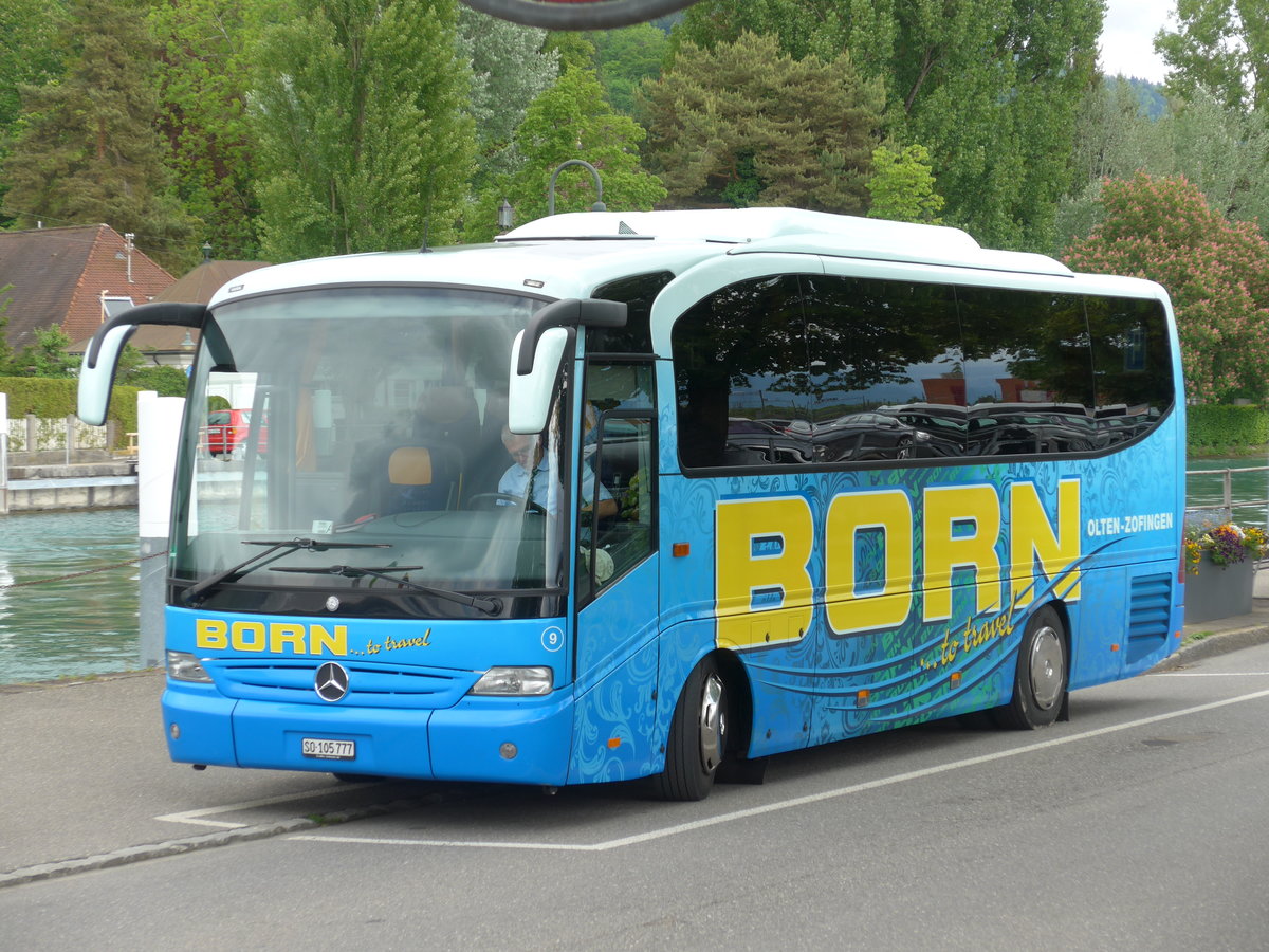 (180'166) - Born, Olten - Nr. 9/SO 105'777 - Mercedes am 20. Mai 2017 bei der Schifflndte Thun